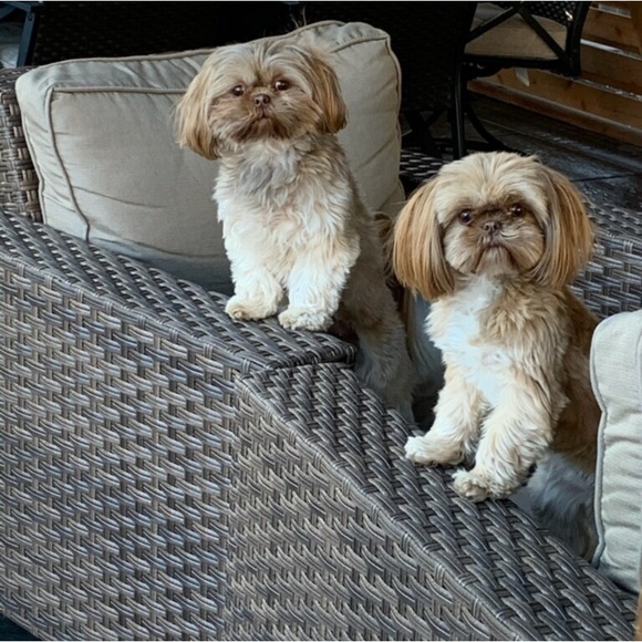 LUVKITTY IS LIVE! - Picture 13 of 15